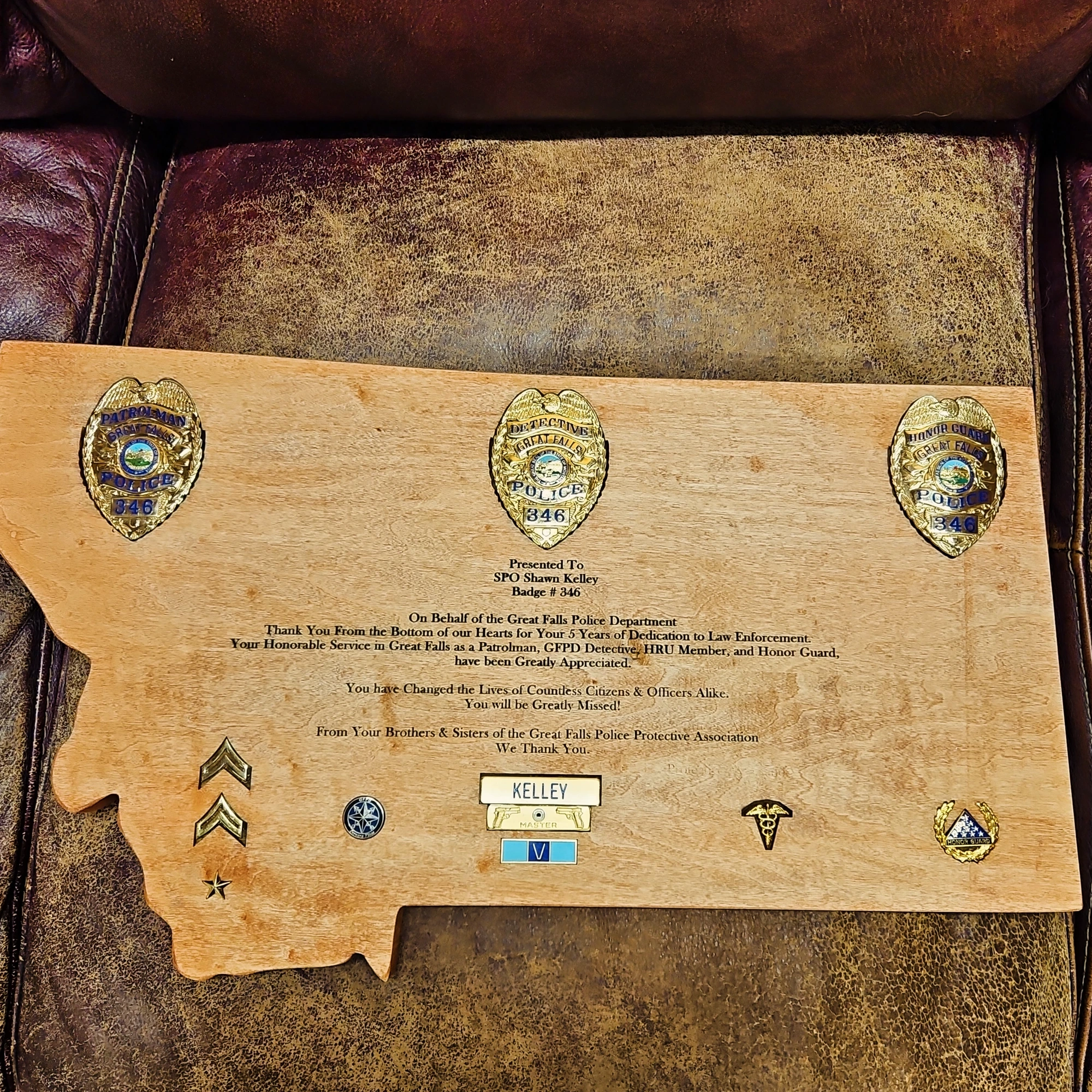 Law Enforcement Badge Display